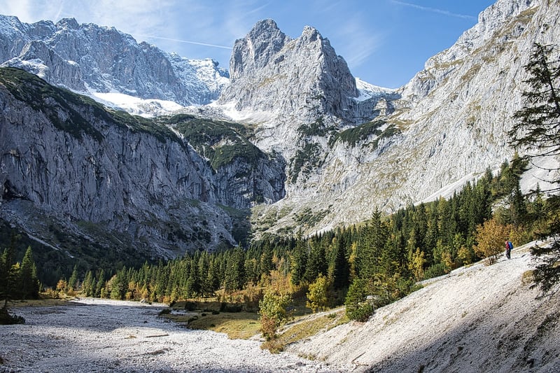 Enchanted Forest of Eldoria